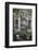 The wall of an inside courtyard in Quan Thang House in Hoi An, Vietnam-Paul Dymond-Framed Photographic Print