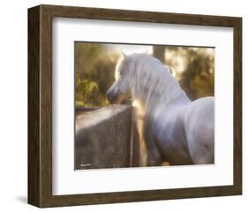 The Wall-Barry Hart-Framed Art Print