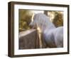 The Wall-Barry Hart-Framed Art Print