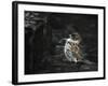 The Wall-Holger Droste-Framed Photographic Print