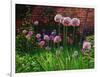 The Walled Garden, 2022, (acrylic on canvas)-Helen White-Framed Giclee Print