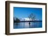 The Wanaka Tree at backed by snow capped mountains, Wanaka, Otago, South Island, New Zealand-Ed Rhodes-Framed Photographic Print