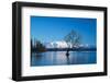 The Wanaka Tree at backed by snow capped mountains, Wanaka, Otago, South Island, New Zealand-Ed Rhodes-Framed Photographic Print