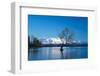 The Wanaka Tree at backed by snow capped mountains, Wanaka, Otago, South Island, New Zealand-Ed Rhodes-Framed Photographic Print