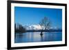 The Wanaka Tree at backed by snow capped mountains, Wanaka, Otago, South Island, New Zealand-Ed Rhodes-Framed Photographic Print