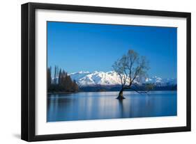 The Wanaka Tree at backed by snow capped mountains, Wanaka, Otago, South Island, New Zealand-Ed Rhodes-Framed Photographic Print