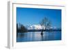 The Wanaka Tree at backed by snow capped mountains, Wanaka, Otago, South Island, New Zealand-Ed Rhodes-Framed Photographic Print