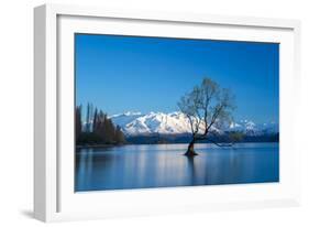 The Wanaka Tree at backed by snow capped mountains, Wanaka, Otago, South Island, New Zealand-Ed Rhodes-Framed Photographic Print