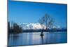 The Wanaka Tree at backed by snow capped mountains, Wanaka, Otago, South Island, New Zealand-Ed Rhodes-Mounted Photographic Print