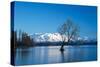 The Wanaka Tree at backed by snow capped mountains, Wanaka, Otago, South Island, New Zealand-Ed Rhodes-Stretched Canvas