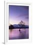 The Wanaka Tree at sunset backed by snow capped mountains, Wanaka, Otago, South Island, New Zealand-Ed Rhodes-Framed Photographic Print