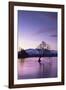 The Wanaka Tree at sunset backed by snow capped mountains, Wanaka, Otago, South Island, New Zealand-Ed Rhodes-Framed Photographic Print