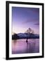 The Wanaka Tree at sunset backed by snow capped mountains, Wanaka, Otago, South Island, New Zealand-Ed Rhodes-Framed Photographic Print