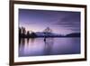 The Wanaka Tree at sunset backed by snow capped mountains, Wanaka, Otago, South Island, New Zealand-Ed Rhodes-Framed Photographic Print