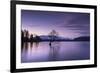 The Wanaka Tree at sunset backed by snow capped mountains, Wanaka, Otago, South Island, New Zealand-Ed Rhodes-Framed Photographic Print