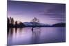 The Wanaka Tree at sunset backed by snow capped mountains, Wanaka, Otago, South Island, New Zealand-Ed Rhodes-Mounted Photographic Print