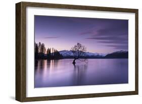 The Wanaka Tree at sunset backed by snow capped mountains, Wanaka, Otago, South Island, New Zealand-Ed Rhodes-Framed Photographic Print