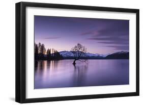 The Wanaka Tree at sunset backed by snow capped mountains, Wanaka, Otago, South Island, New Zealand-Ed Rhodes-Framed Photographic Print