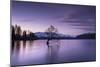 The Wanaka Tree at sunset backed by snow capped mountains, Wanaka, Otago, South Island, New Zealand-Ed Rhodes-Mounted Photographic Print