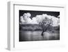 The Wanaka tree, Lake Wanaka, Otago, South Island, New Zealand-Russ Bishop-Framed Photographic Print