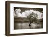 The Wanaka tree, Lake Wanaka, Otago, South Island, New Zealand-Russ Bishop-Framed Photographic Print