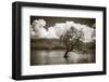 The Wanaka tree, Lake Wanaka, Otago, South Island, New Zealand-Russ Bishop-Framed Photographic Print