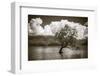 The Wanaka tree, Lake Wanaka, Otago, South Island, New Zealand-Russ Bishop-Framed Photographic Print