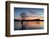 The Wanaka Tree with dramatic sky at sunrise, Lake Wanaka, Otago, South Island, New Zealand-Ed Rhodes-Framed Photographic Print