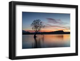 The Wanaka Tree with dramatic sky at sunrise, Lake Wanaka, Otago, South Island, New Zealand-Ed Rhodes-Framed Photographic Print