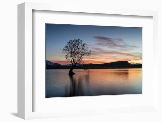 The Wanaka Tree with dramatic sky at sunrise, Lake Wanaka, Otago, South Island, New Zealand-Ed Rhodes-Framed Photographic Print