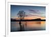 The Wanaka Tree with dramatic sky at sunrise, Lake Wanaka, Otago, South Island, New Zealand-Ed Rhodes-Framed Photographic Print