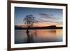 The Wanaka Tree with dramatic sky at sunrise, Lake Wanaka, Otago, South Island, New Zealand-Ed Rhodes-Framed Photographic Print