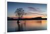 The Wanaka Tree with dramatic sky at sunrise, Lake Wanaka, Otago, South Island, New Zealand-Ed Rhodes-Framed Photographic Print