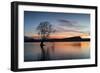 The Wanaka Tree with dramatic sky at sunrise, Lake Wanaka, Otago, South Island, New Zealand-Ed Rhodes-Framed Photographic Print