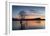 The Wanaka Tree with dramatic sky at sunrise, Lake Wanaka, Otago, South Island, New Zealand-Ed Rhodes-Framed Photographic Print