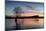 The Wanaka Tree with dramatic sky at sunrise, Lake Wanaka, Otago, South Island, New Zealand-Ed Rhodes-Mounted Photographic Print