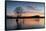 The Wanaka Tree with dramatic sky at sunrise, Lake Wanaka, Otago, South Island, New Zealand-Ed Rhodes-Framed Stretched Canvas