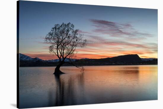 The Wanaka Tree with dramatic sky at sunrise, Lake Wanaka, Otago, South Island, New Zealand-Ed Rhodes-Stretched Canvas