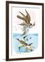 The Wandering Falcon-Theodore Jasper-Framed Art Print