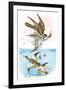 The Wandering Falcon-Theodore Jasper-Framed Art Print