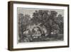 The Waning Year, in the Exhibition of the Royal Academy-Frederick William Hulme-Framed Giclee Print