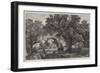 The Waning Year, in the Exhibition of the Royal Academy-Frederick William Hulme-Framed Giclee Print