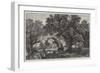 The Waning Year, in the Exhibition of the Royal Academy-Frederick William Hulme-Framed Giclee Print