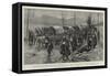 The War Between Servia and Bulgaria, the Servian Retreat on Nisch, 26 November-Frederic Villiers-Framed Stretched Canvas