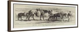 The War, Bringing Meat from Djunis to Greovatz for the Servian Army-Charles Robinson-Framed Giclee Print