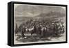 The War, Captured French Horses after the Battle of Sedan-Arthur Hopkins-Framed Stretched Canvas