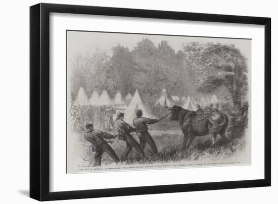 The War in America, Quartermaster's Department, Killing Bullocks in the Federal Camp, Virginia-Frederick John Skill-Framed Giclee Print