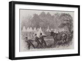 The War in America, Quartermaster's Department, Killing Bullocks in the Federal Camp, Virginia-Frederick John Skill-Framed Giclee Print