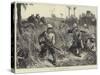 The War in Egypt, Mounted Infantry Skirmishing-William Heysham Overend-Stretched Canvas