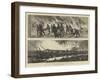 The War in Egypt, the Occupation of Cairo-null-Framed Giclee Print